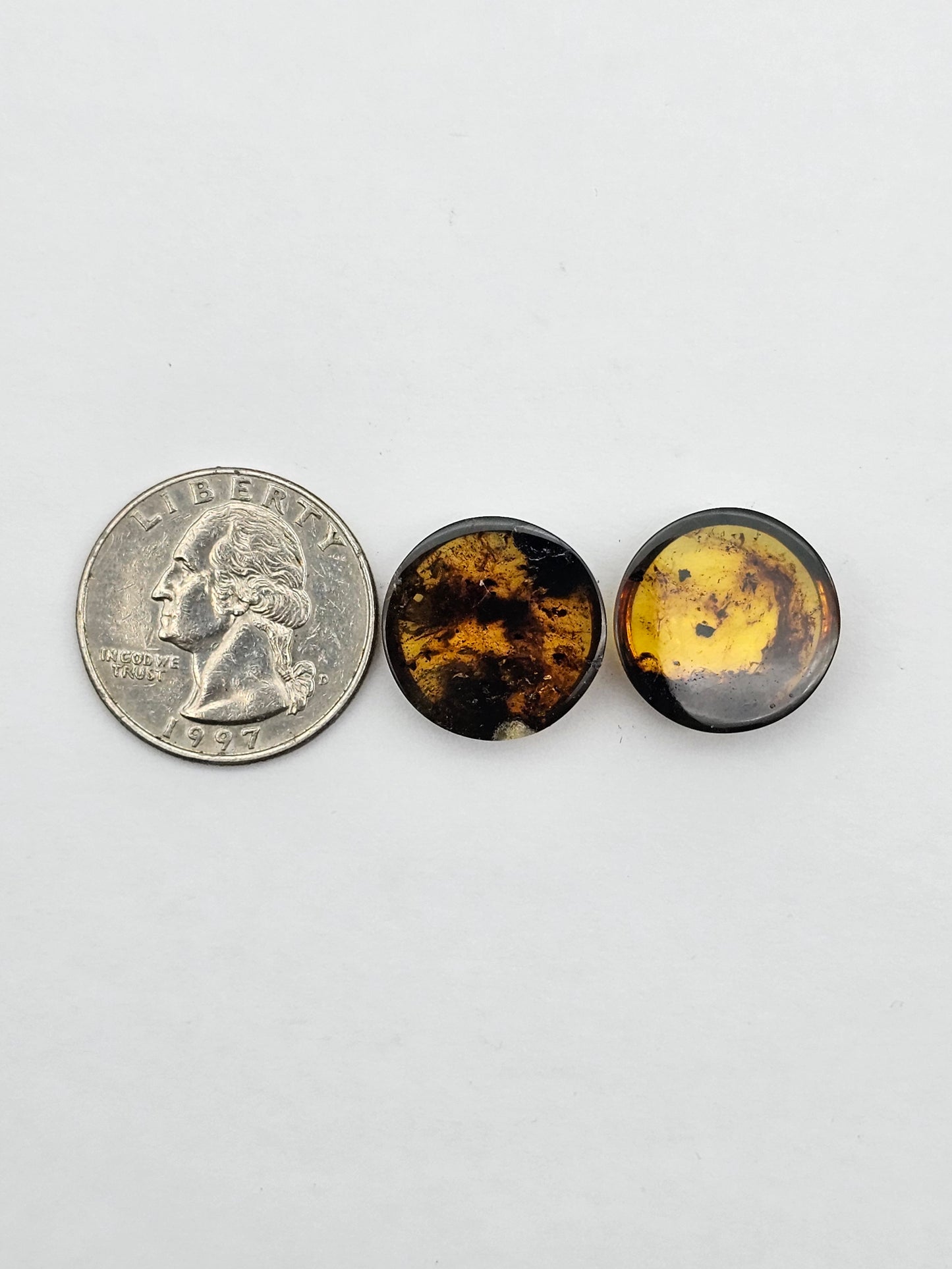 Amber authentic cabochon pair large