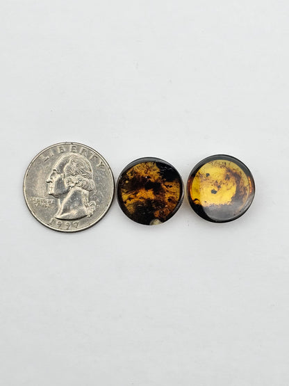 Amber authentic cabochon pair large