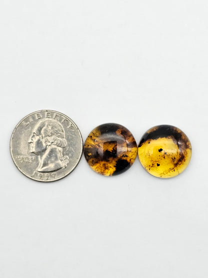 Amber authentic cabochon pair large