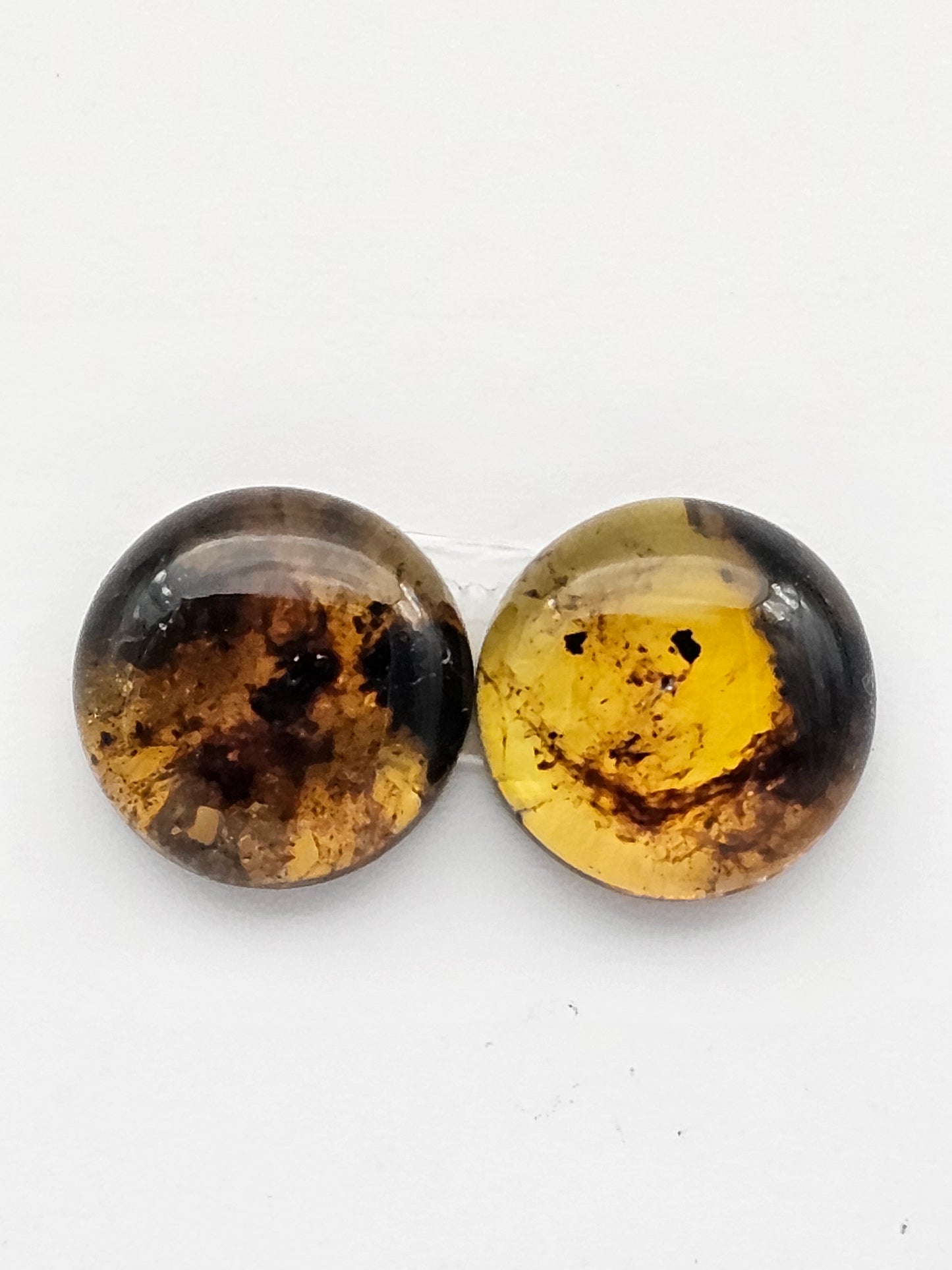 Amber authentic cabochon pair large