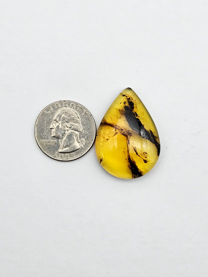Amber authentic cabochon large