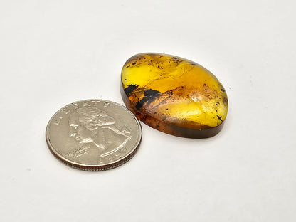 Amber authentic cabochon large