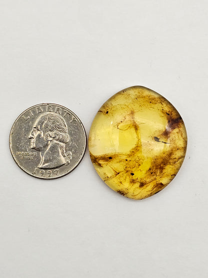 Amber authentic cabochon large