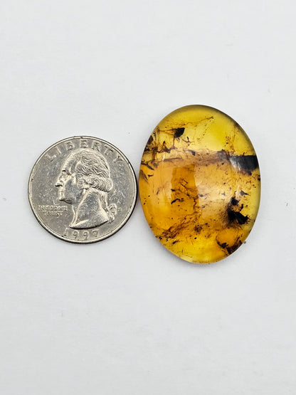 Amber authentic cabochon large