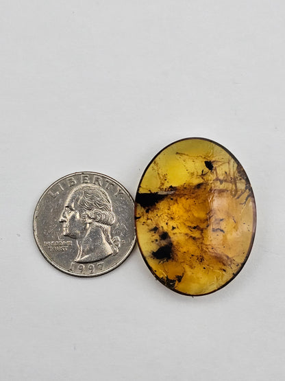 Amber authentic cabochon large