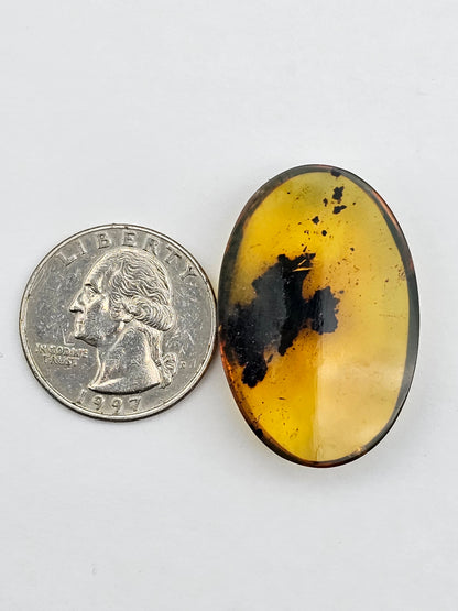 Amber authentic cabochon large