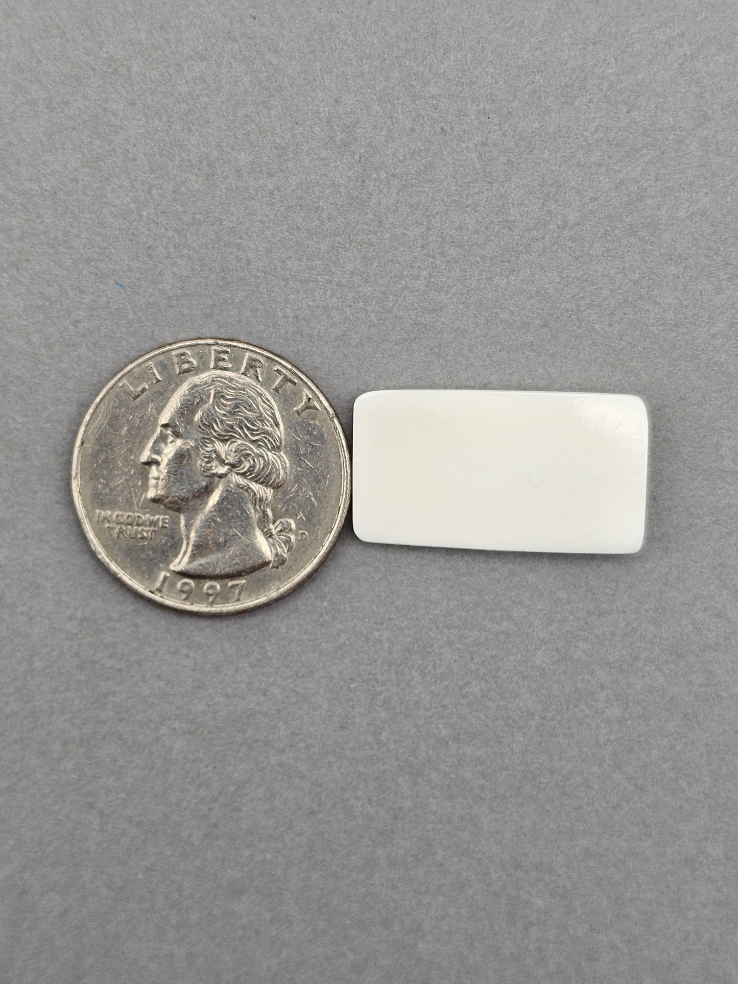 Bone Carving Cabochon
