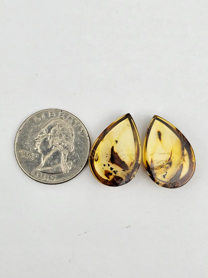 Amber authentic cabochon pair large