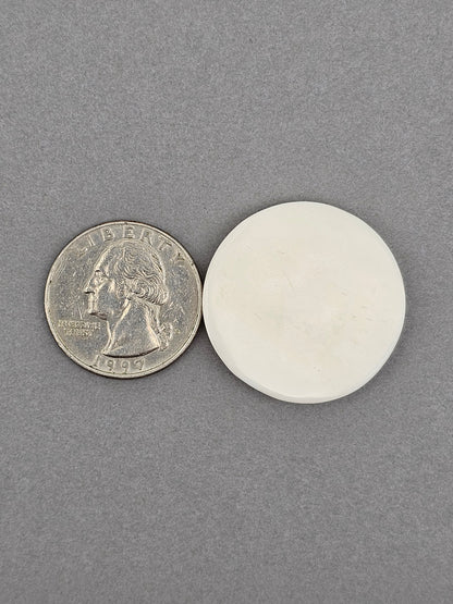 Sleeping Cat Bone Carving Cabochon