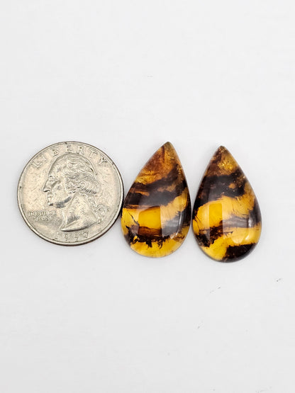 Amber authentic cabochon pair large