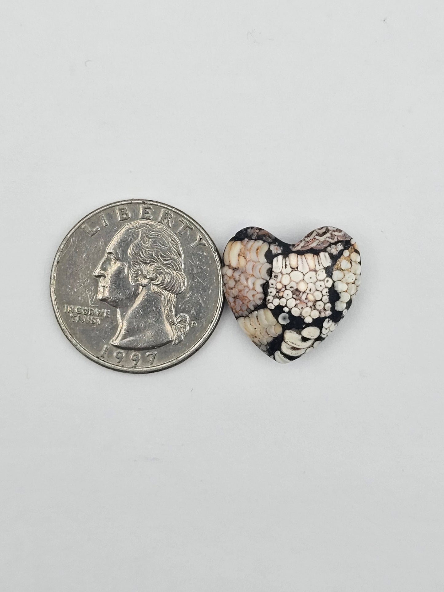 Snake skin agate heart cabochon