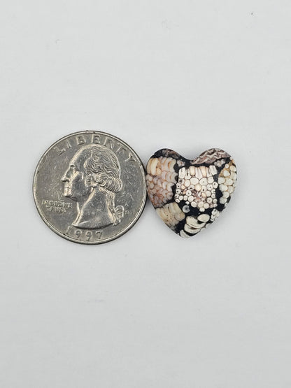 Snake skin agate heart cabochon
