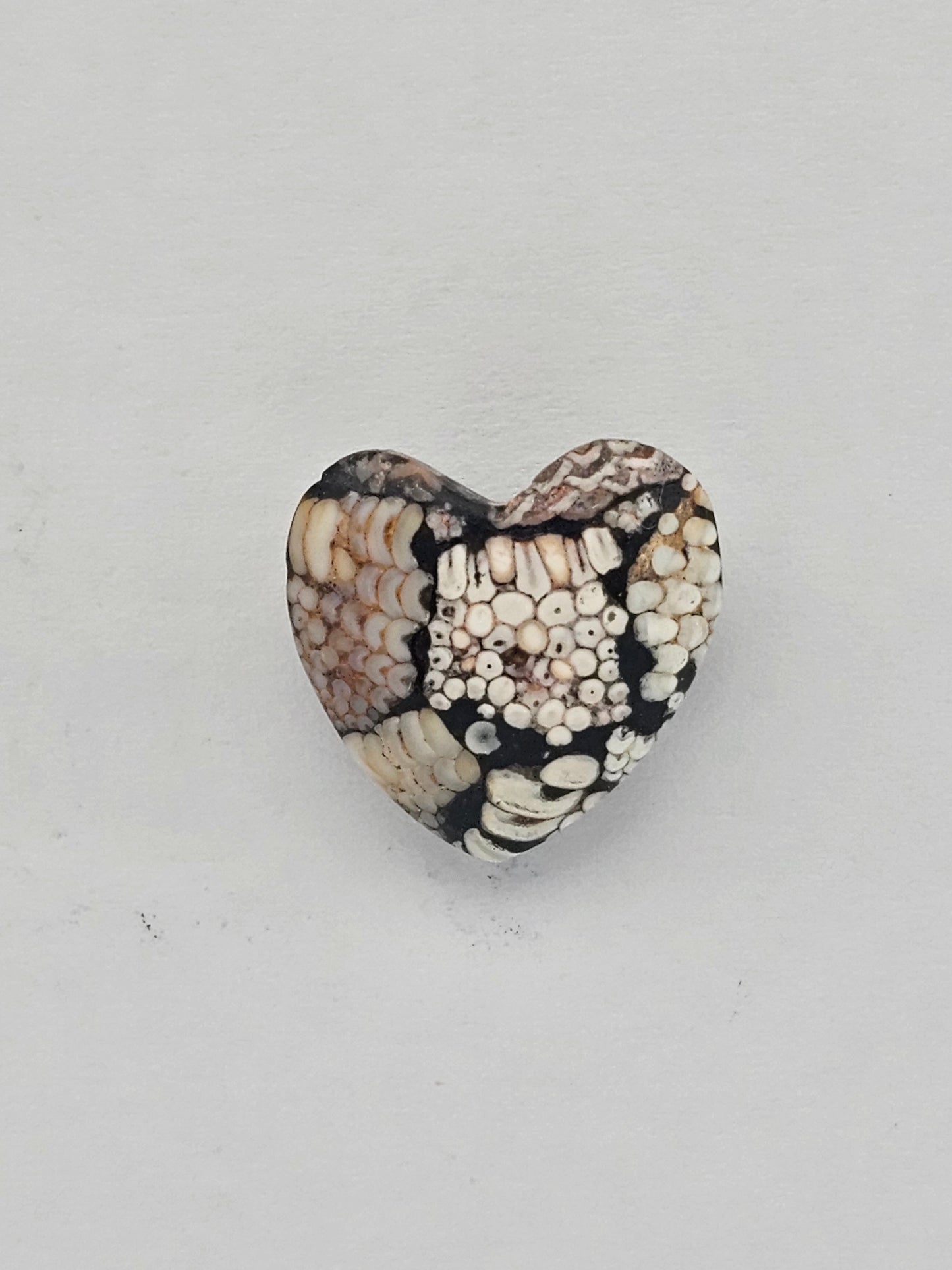Snake skin agate heart cabochon