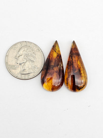 Amber authentic cabochon pair large