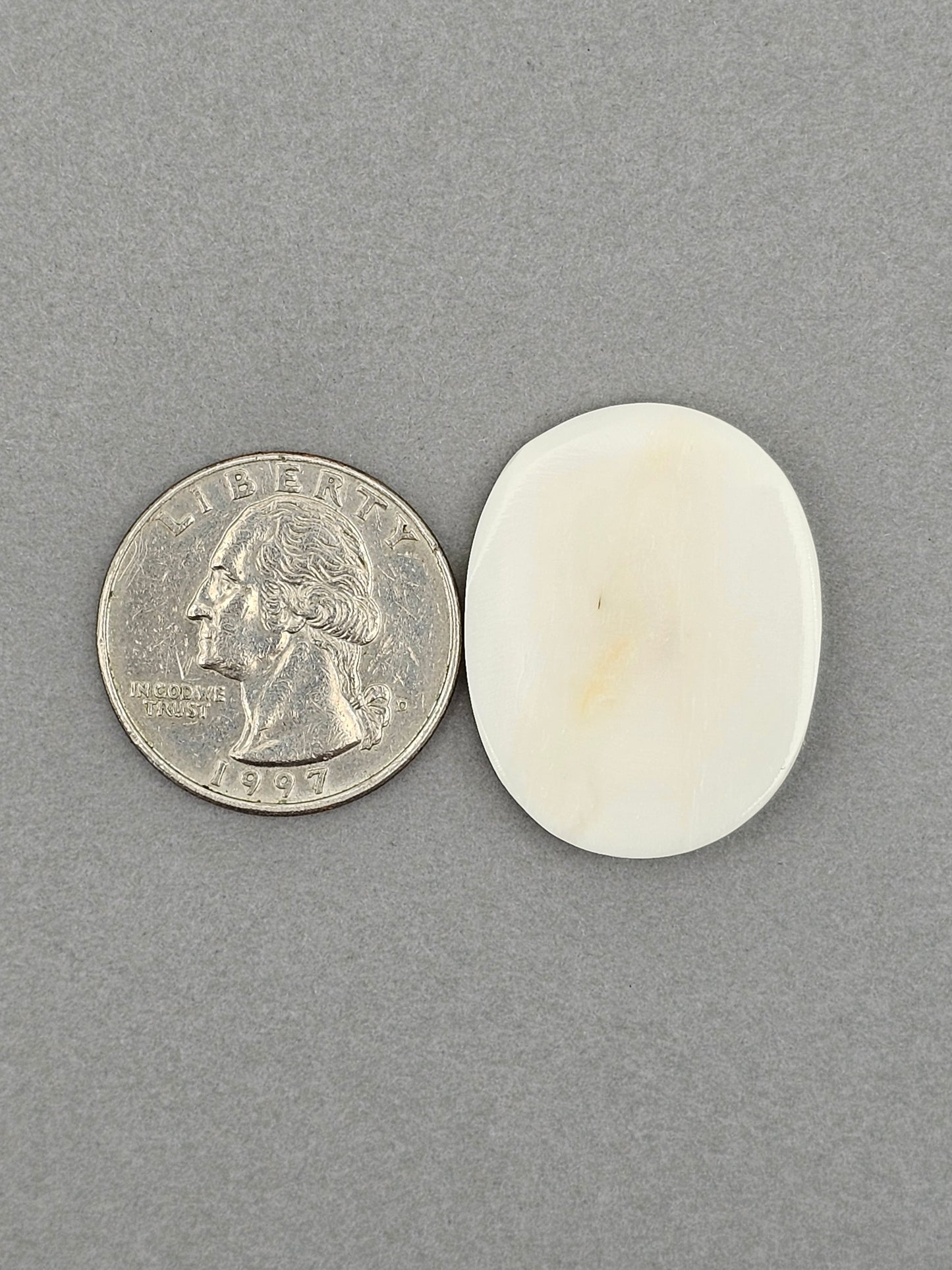 Hummingbird with Flower Bone Carving Cabochon