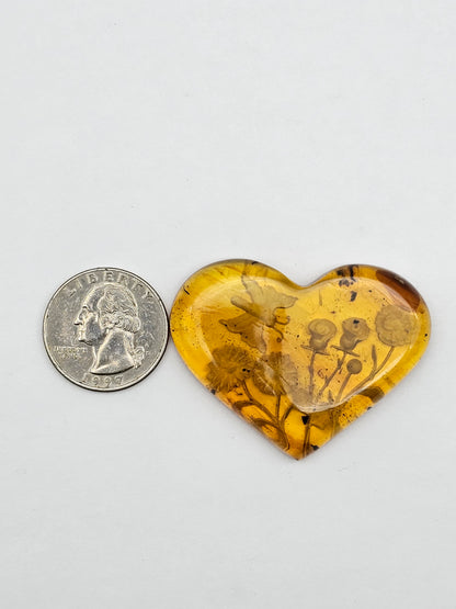 Amber authentic intaglio cabochon large
