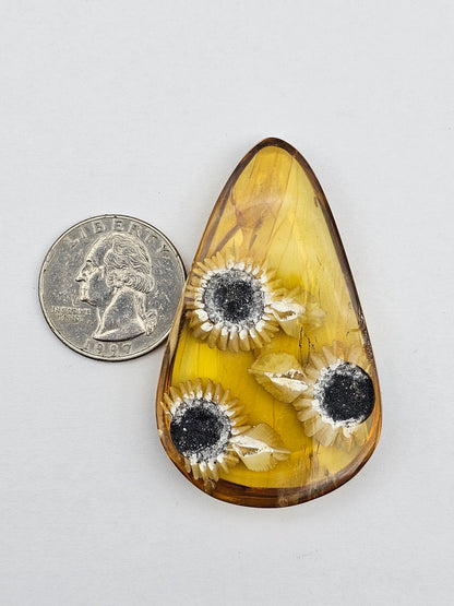 Amber authentic intaglio cabochon large