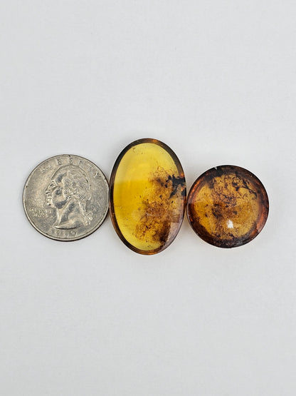 Amber authentic cabochon set large
