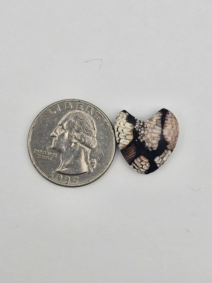 Snake skin agate heart cabochon