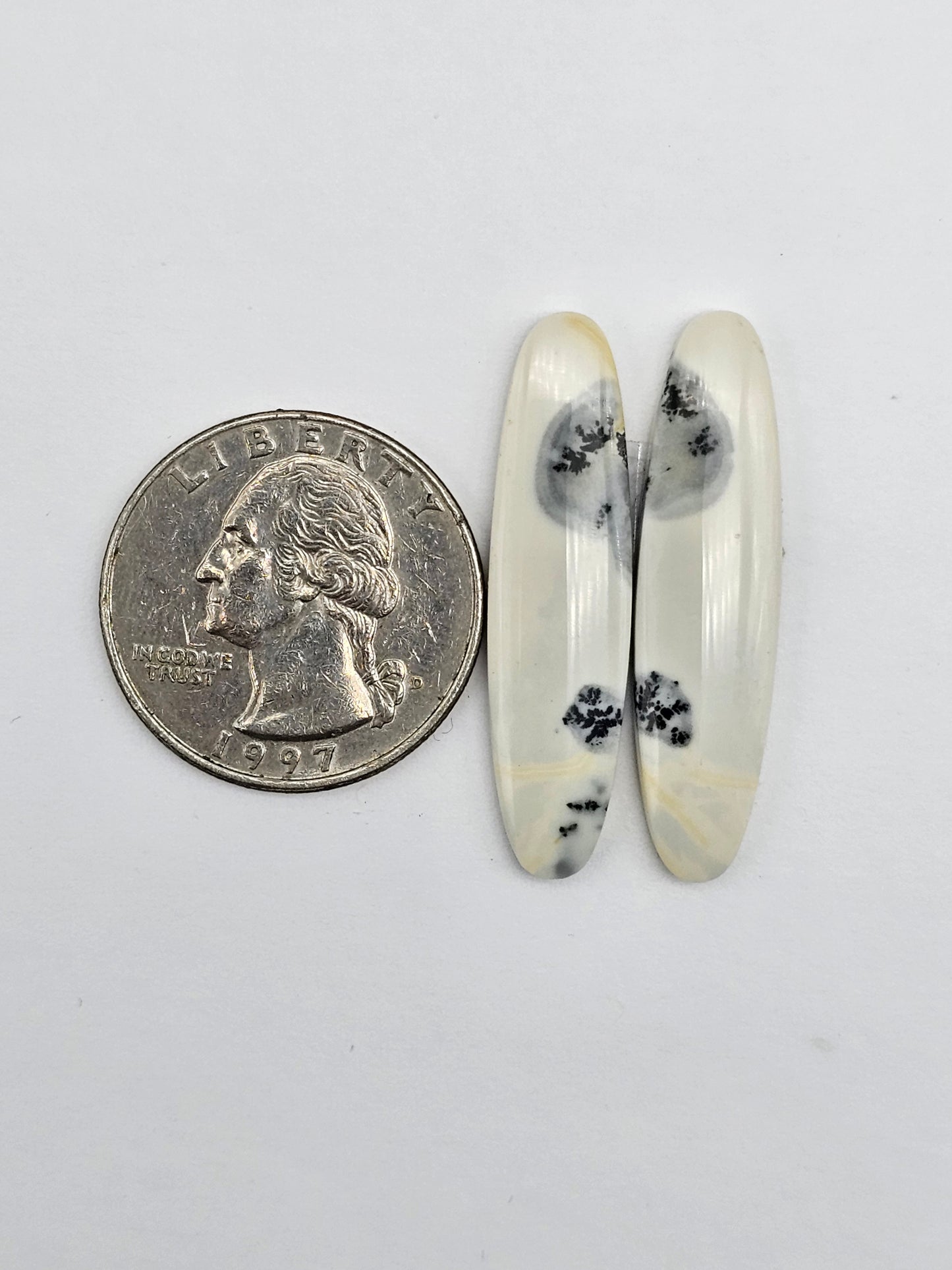 Maligano Jasper Cabochon Pair