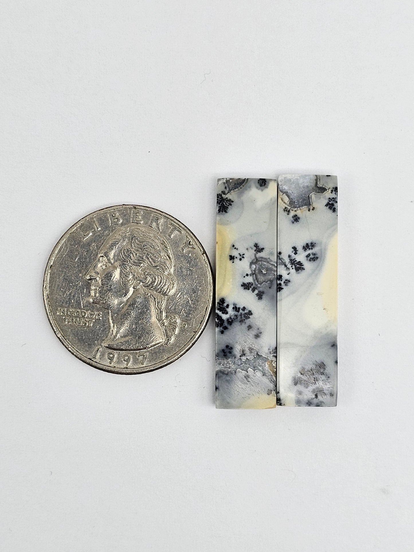 Maligano Jasper Cabochon Pair