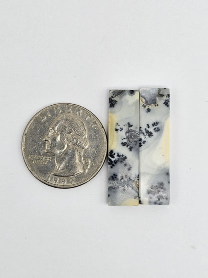 Maligano Jasper Cabochon Pair