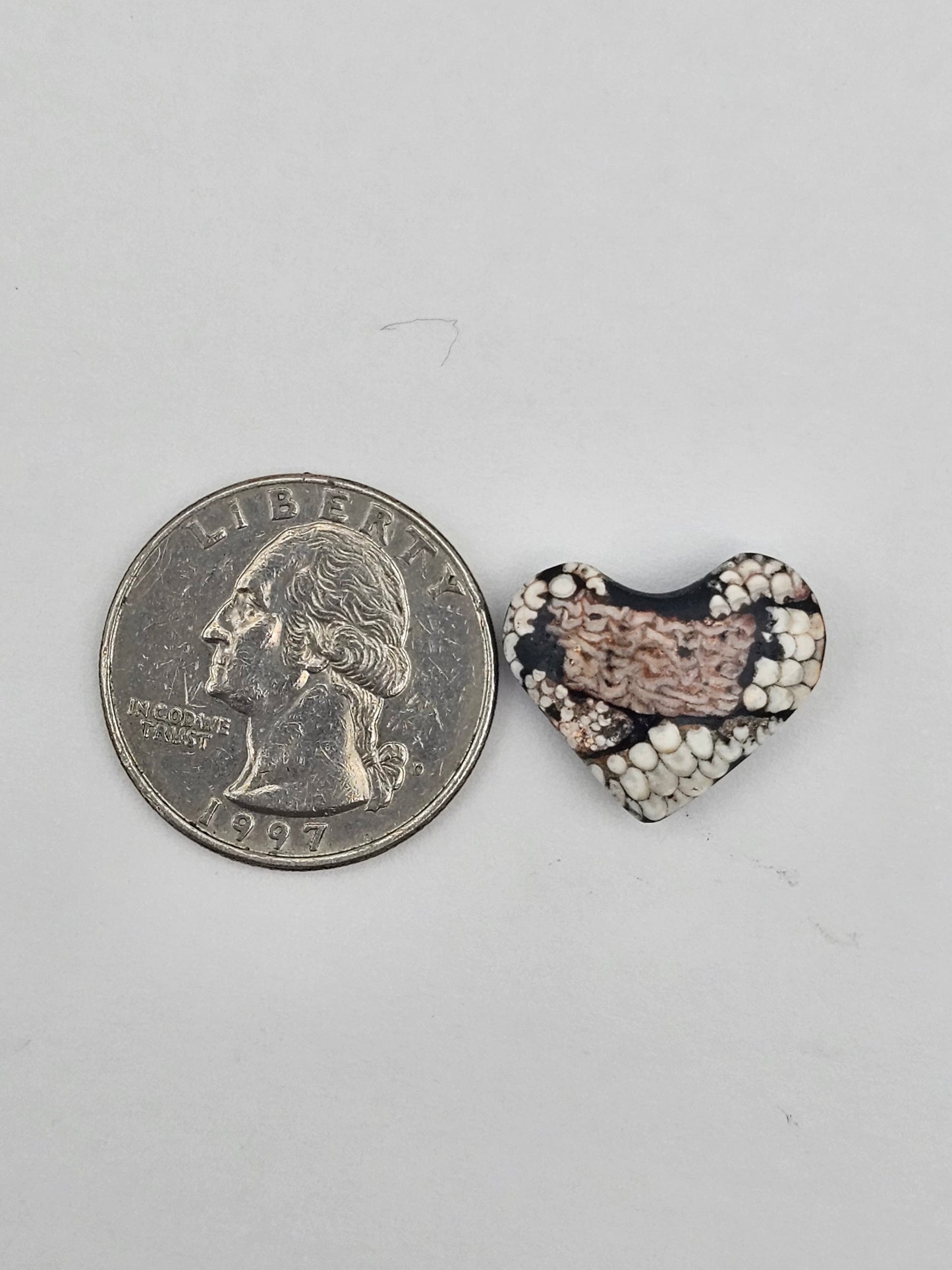 Snake skin agate heart cabochon