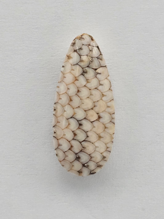 Snake skin agate cabochon