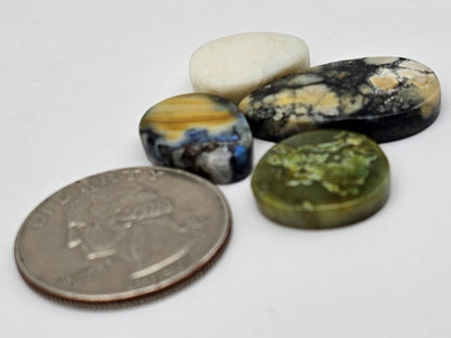Dark moon variscite lot