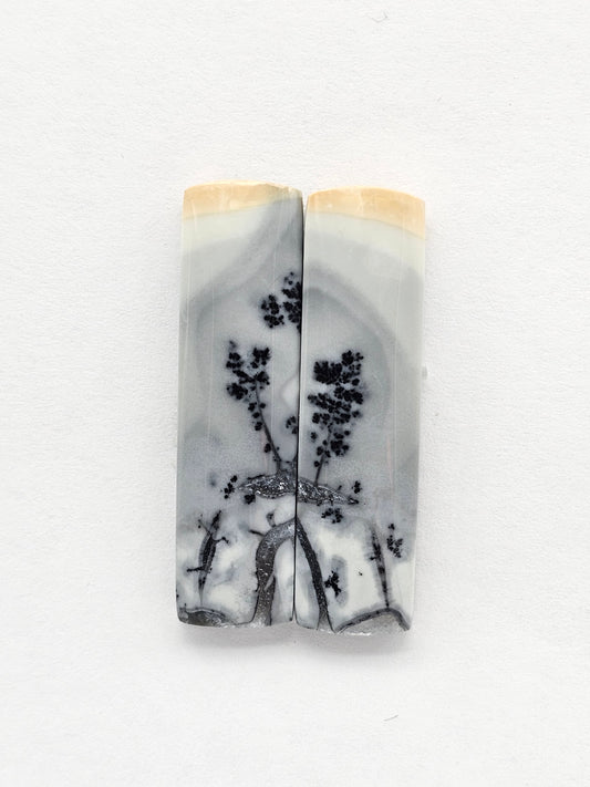 Maligano Jasper Cabochon Pair