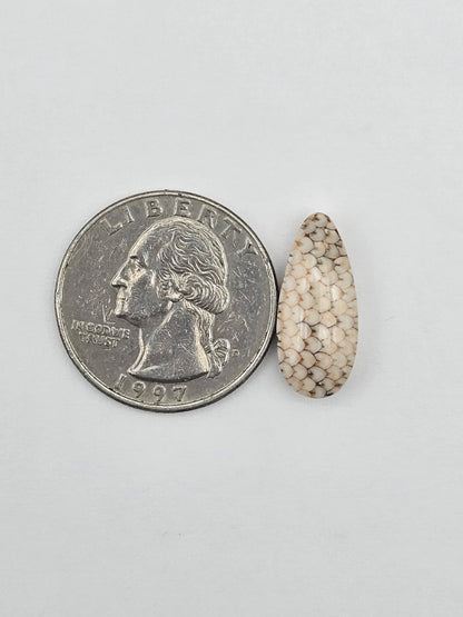 Snake skin agate cabochon
