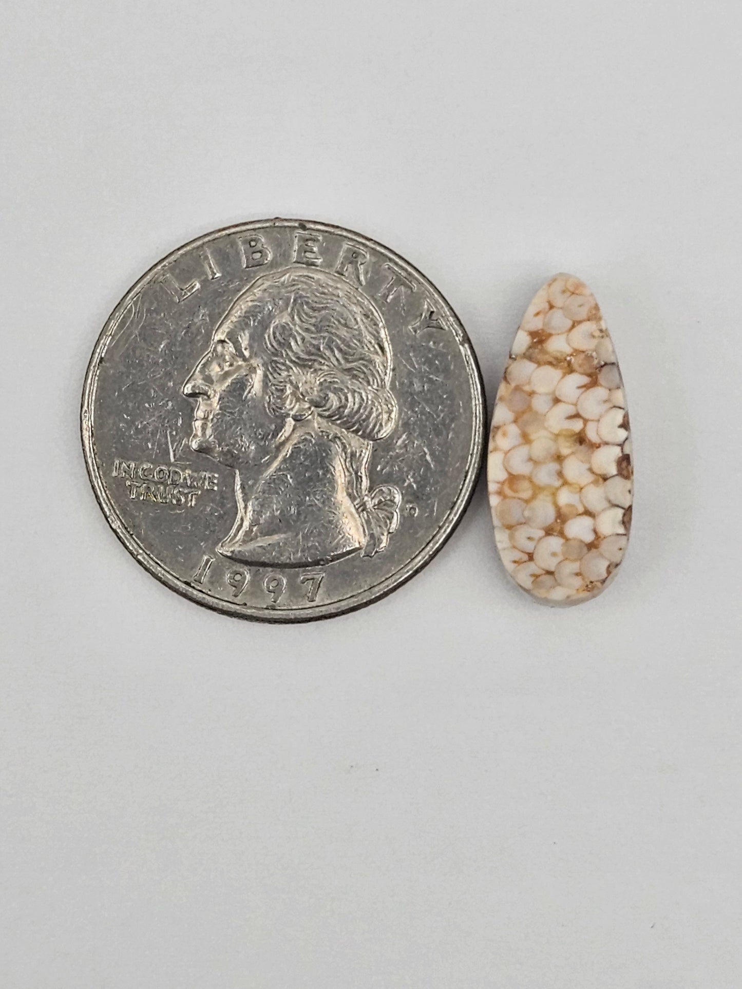 Snake skin agate cabochon