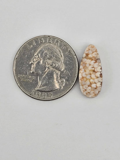 Snake skin agate cabochon