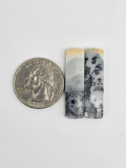 Maligano Jasper Cabochon Pair