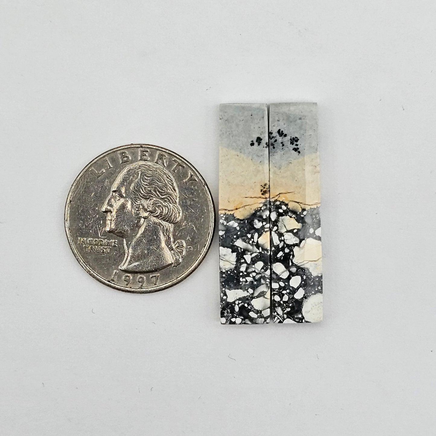 Maligano Jasper cabochon pair