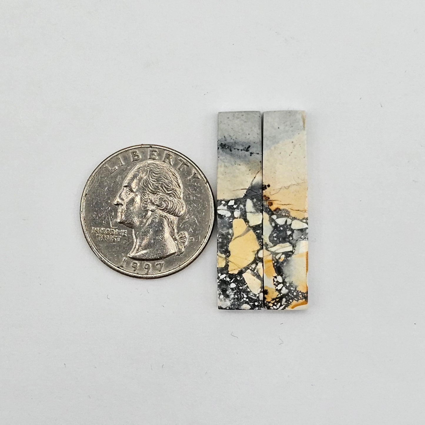 Maligano Jasper cabochon pair