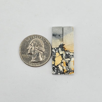 Maligano Jasper cabochon pair