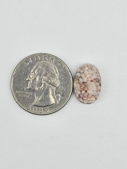 Snake agate cabochon large