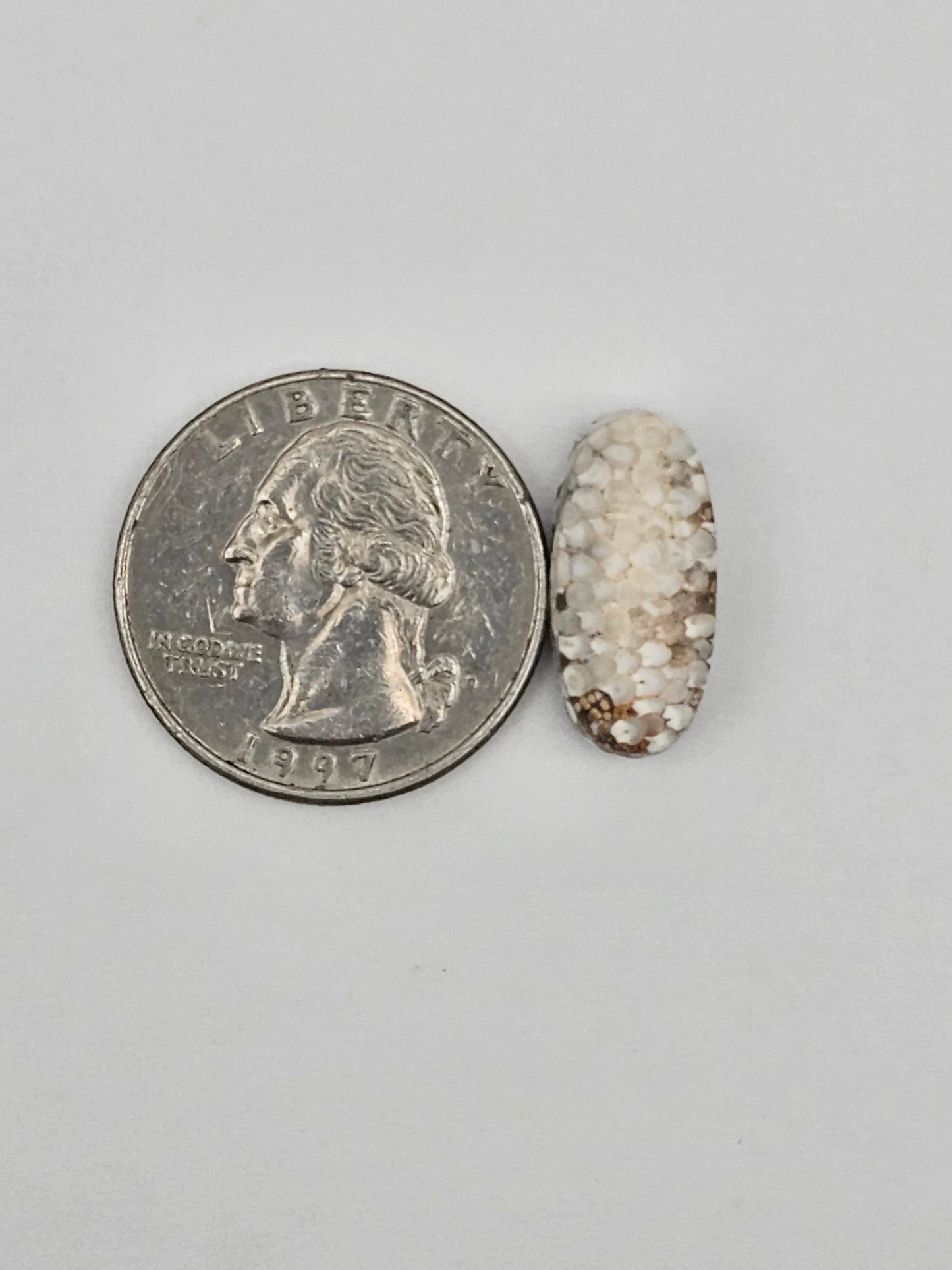 Snake skin agate cabochon