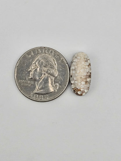 Snake skin agate cabochon