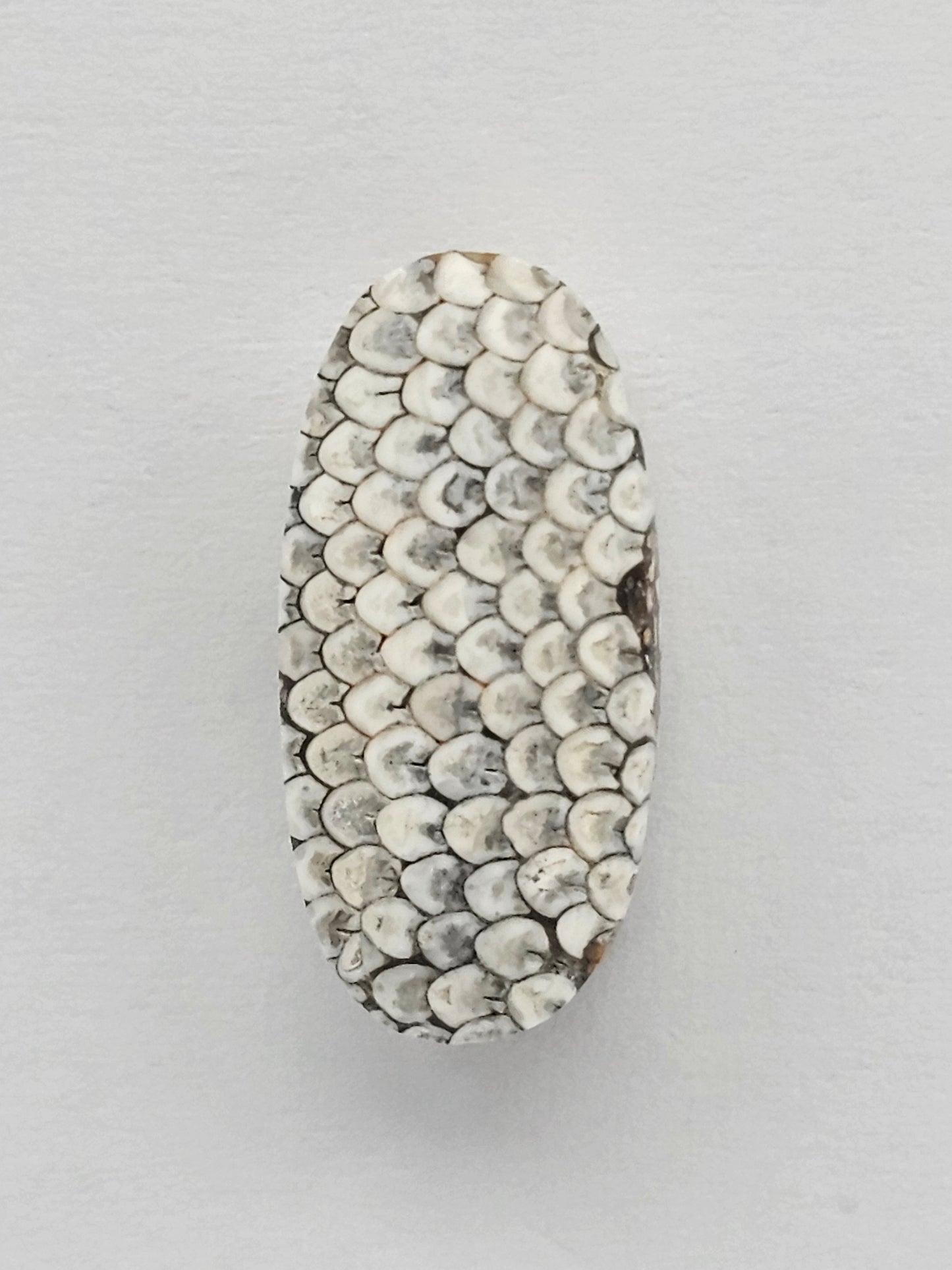 Snake skin agate cabochon