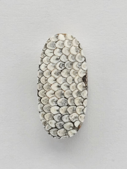 Snake skin agate cabochon