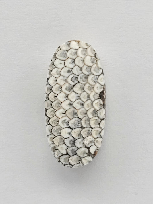 Snake skin agate cabochon
