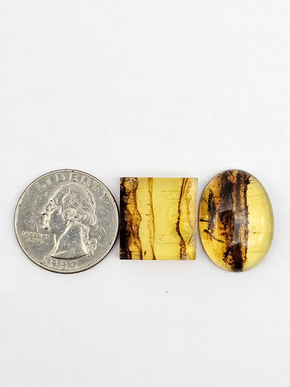 Amber authentic cabochon set large