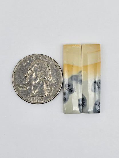 Maligano Jasper Cabochon Pair