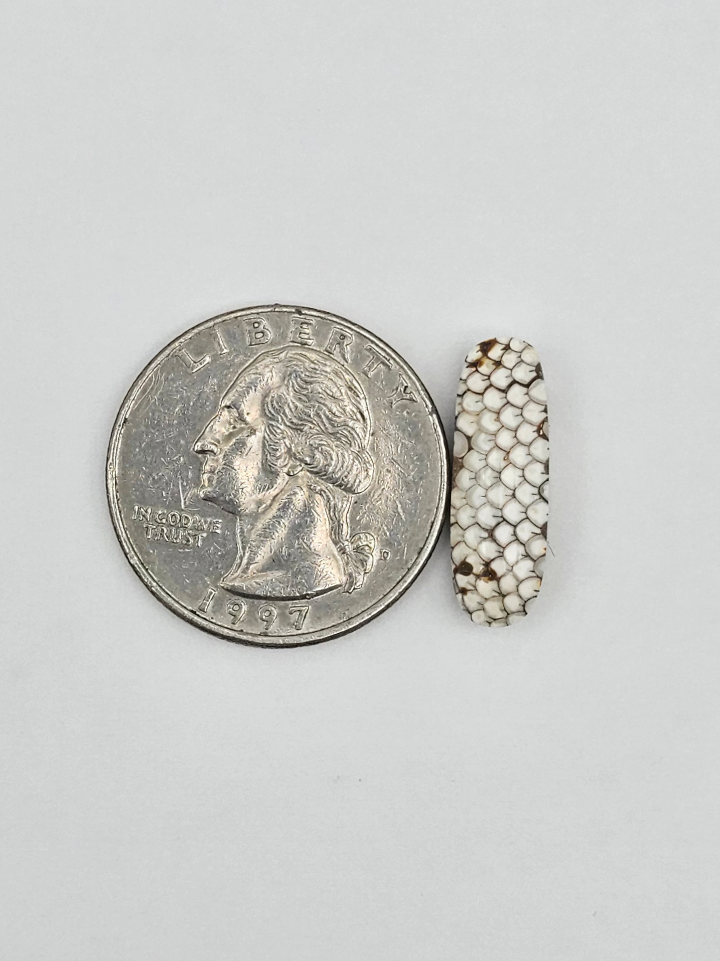 Snake skin agate cabochon