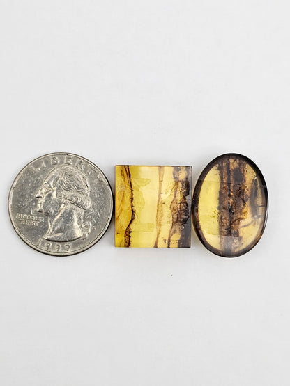 Amber authentic cabochon set large
