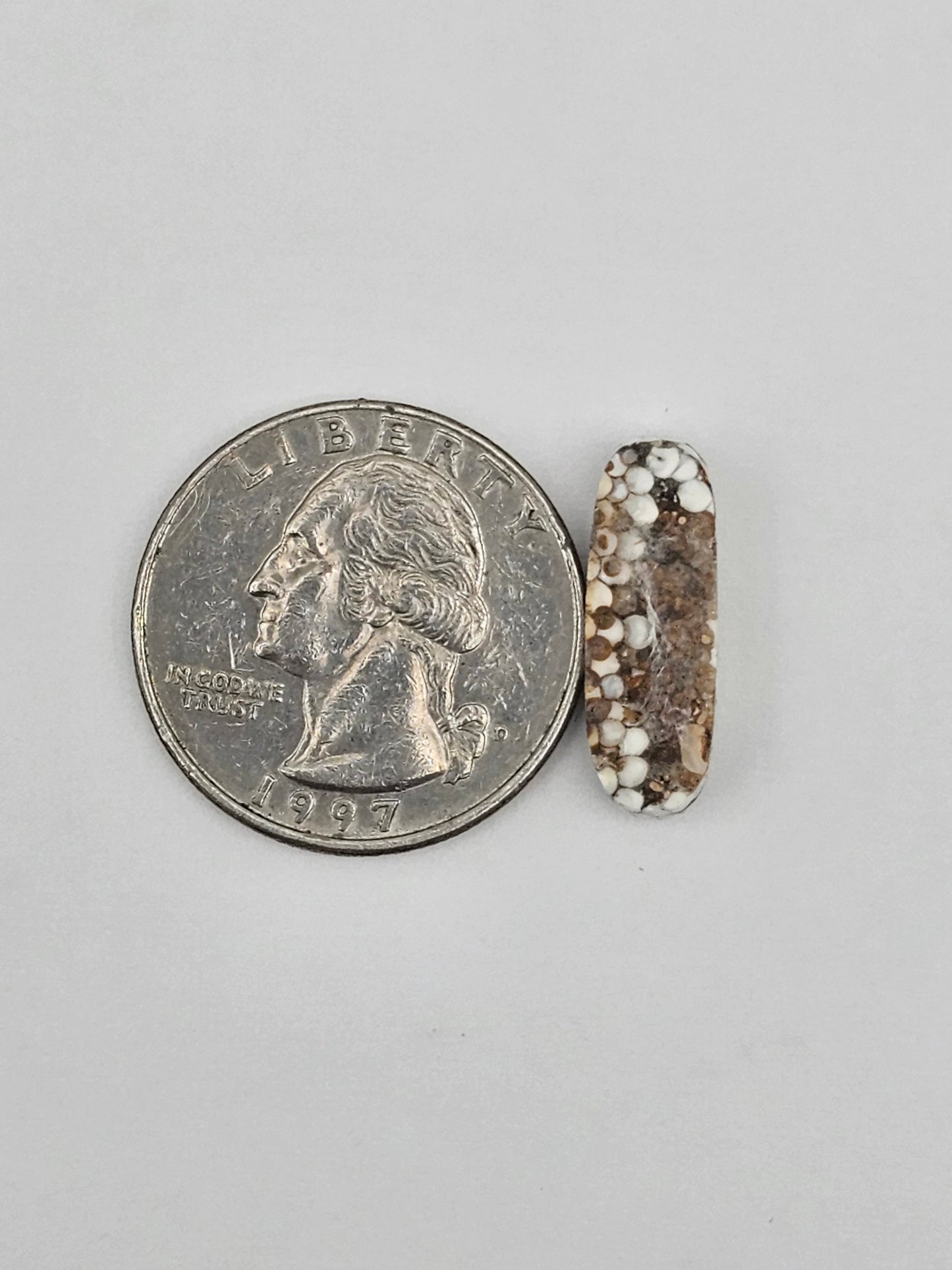 Snake skin agate cabochon