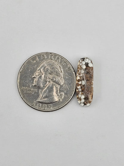 Snake skin agate cabochon
