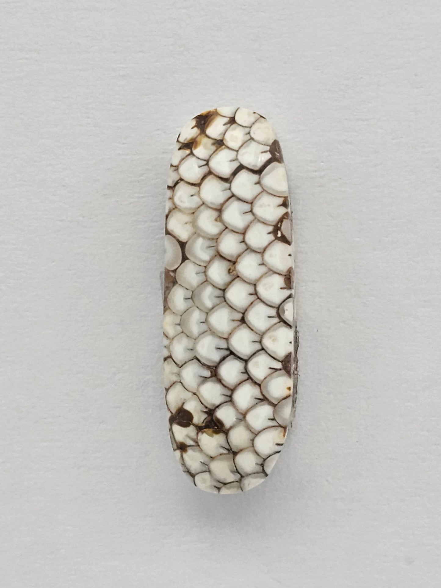 Snake skin agate cabochon
